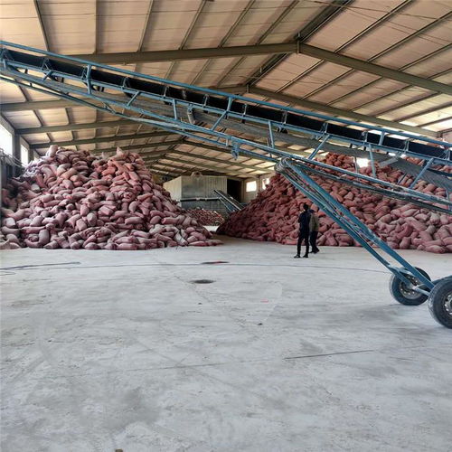 珍珠巖建筑材料 歐都新材料建筑材料 萬(wàn)寧珍珠巖